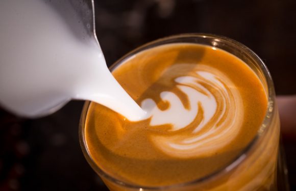 coffee club the grange warkworth