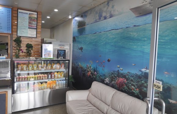 fish nets fish and chips store warkworth